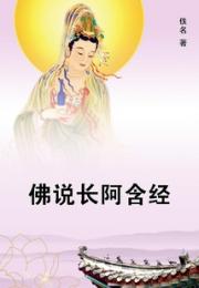 佛说长阿含经 作者：佚名
