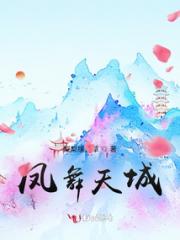 凤舞天城小说阅读