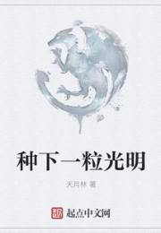 种下一粒光明小说阅读