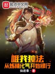唯我独法：从炼精化气开始修行小说阅读