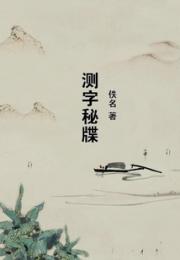 测字秘牒小说阅读