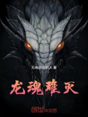 龙魂难灭小说阅读
