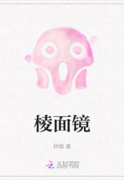 棱面镜小说阅读