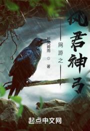 网游之风君神弓小说阅读