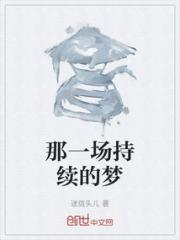那一场持续的梦小说阅读
