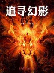 追寻幻影小说阅读
