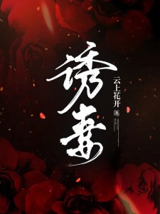 诱妻小说阅读