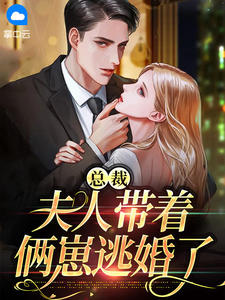总裁，夫人带着俩崽逃婚了小说阅读