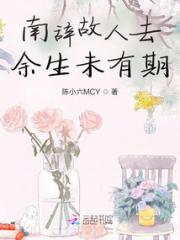 南辞故人去余生未有期小说阅读