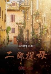 二郎探母小说阅读