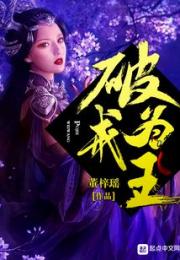 破戒为王小说阅读