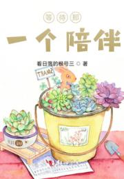 等待那一个陪伴小说阅读