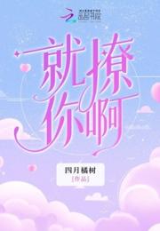 就撩你啊小说阅读