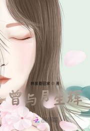 曾与月生辉小说阅读