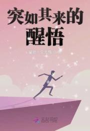 突如其来的醒悟小说阅读