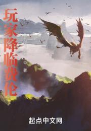 玩家降临费伦小说阅读