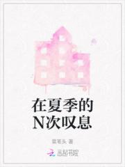 在夏季的N次叹息小说阅读