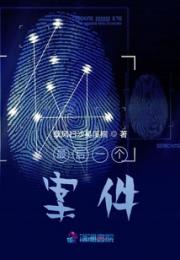 最后一个案件小说阅读
