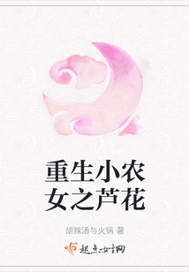 重生小农女之芦花