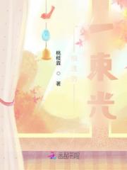相遇的一束光小说阅读