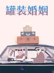 罐装婚姻小说阅读