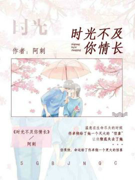 时光不及你情长小说阅读