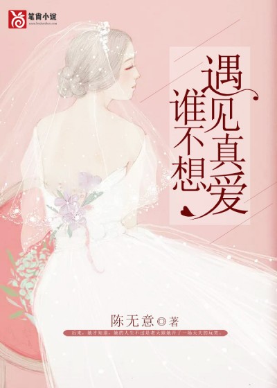 谁不想遇见真爱小说阅读