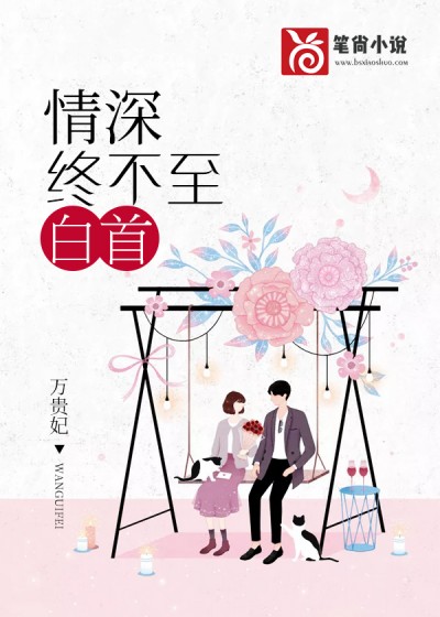 情深终不至白首小说阅读