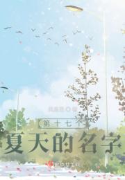 第十七个夏天的名字小说阅读