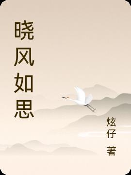 晓风如思小说阅读
