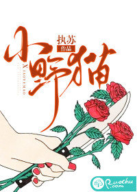 小野猫小说阅读