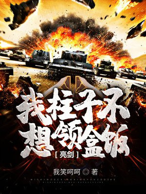 亮剑：我柱子不想领盒饭！小说阅读