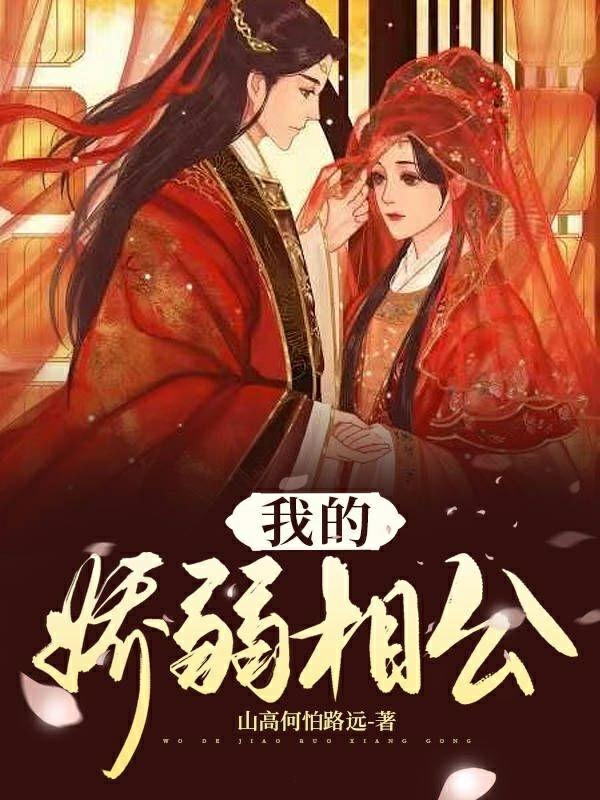 我的娇弱相公小说阅读