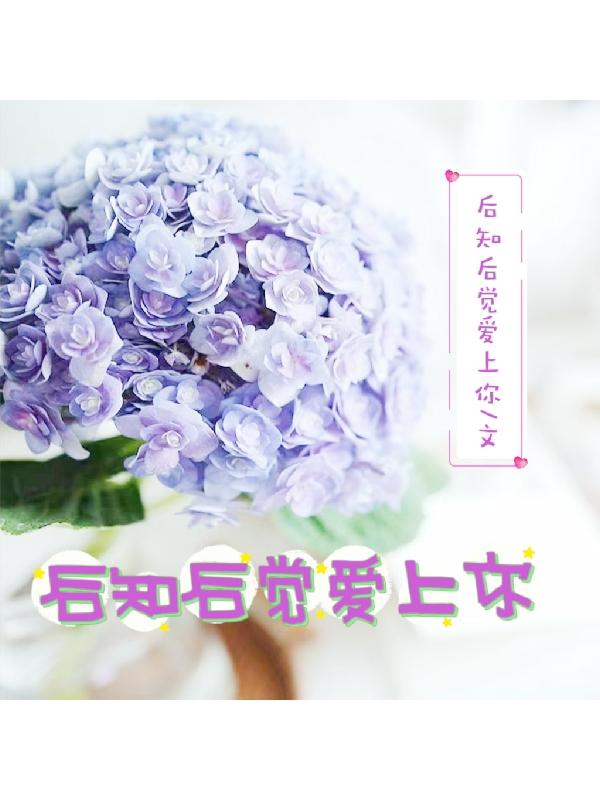 后知后觉爱上你小说阅读