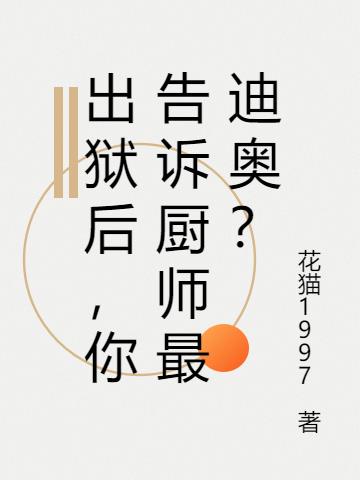 出狱后，你告诉厨师最迪奥？小说阅读