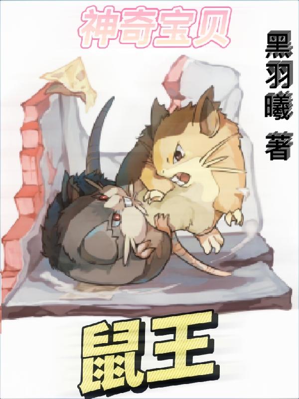 神奇宝贝：鼠王小说阅读