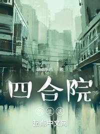 四合院的生活小说阅读
