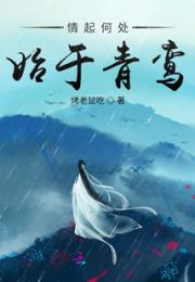 情起何处，始于青鸾小说阅读