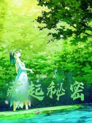 藏起秘密小说阅读