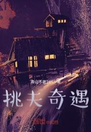 挑夫奇遇