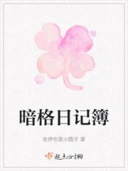 暗格日记簿