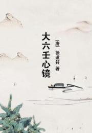 大六壬心镜小说阅读