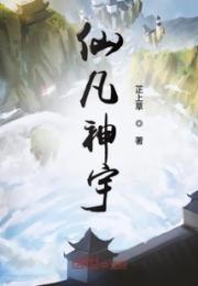 仙凡神宇小说阅读