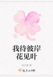 我待彼岸花见叶小说阅读