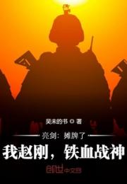 亮剑：摊牌了，我赵刚，铁血战神小说阅读
