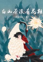 白山茶没有花期
