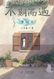 不期而遇，想见你小说阅读