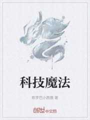 科技魔法小说阅读