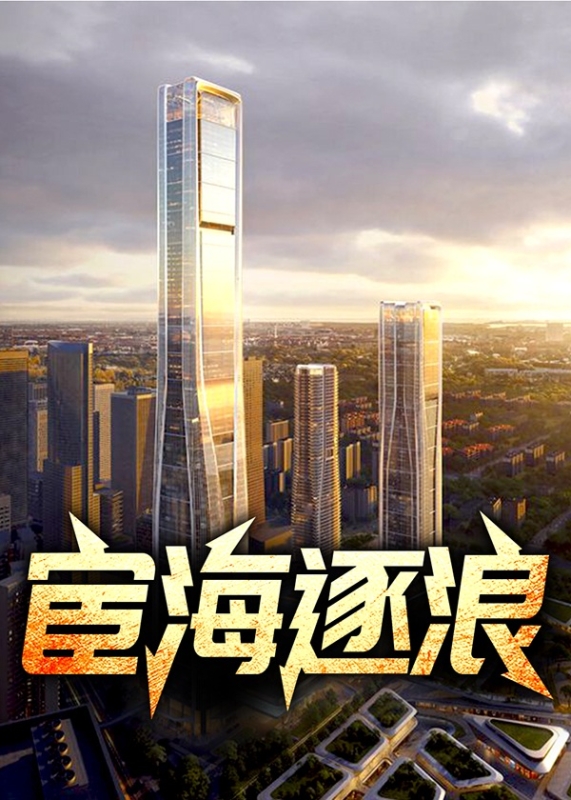 宦海逐浪小说阅读