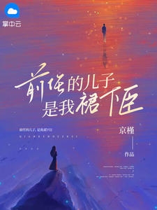 前任的儿子，是我裙下臣小说阅读